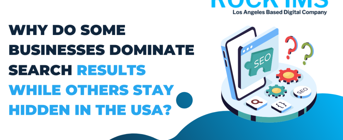 Why Do Some Businesses Dominate Search Results While Others Stay Hidden in the USA?